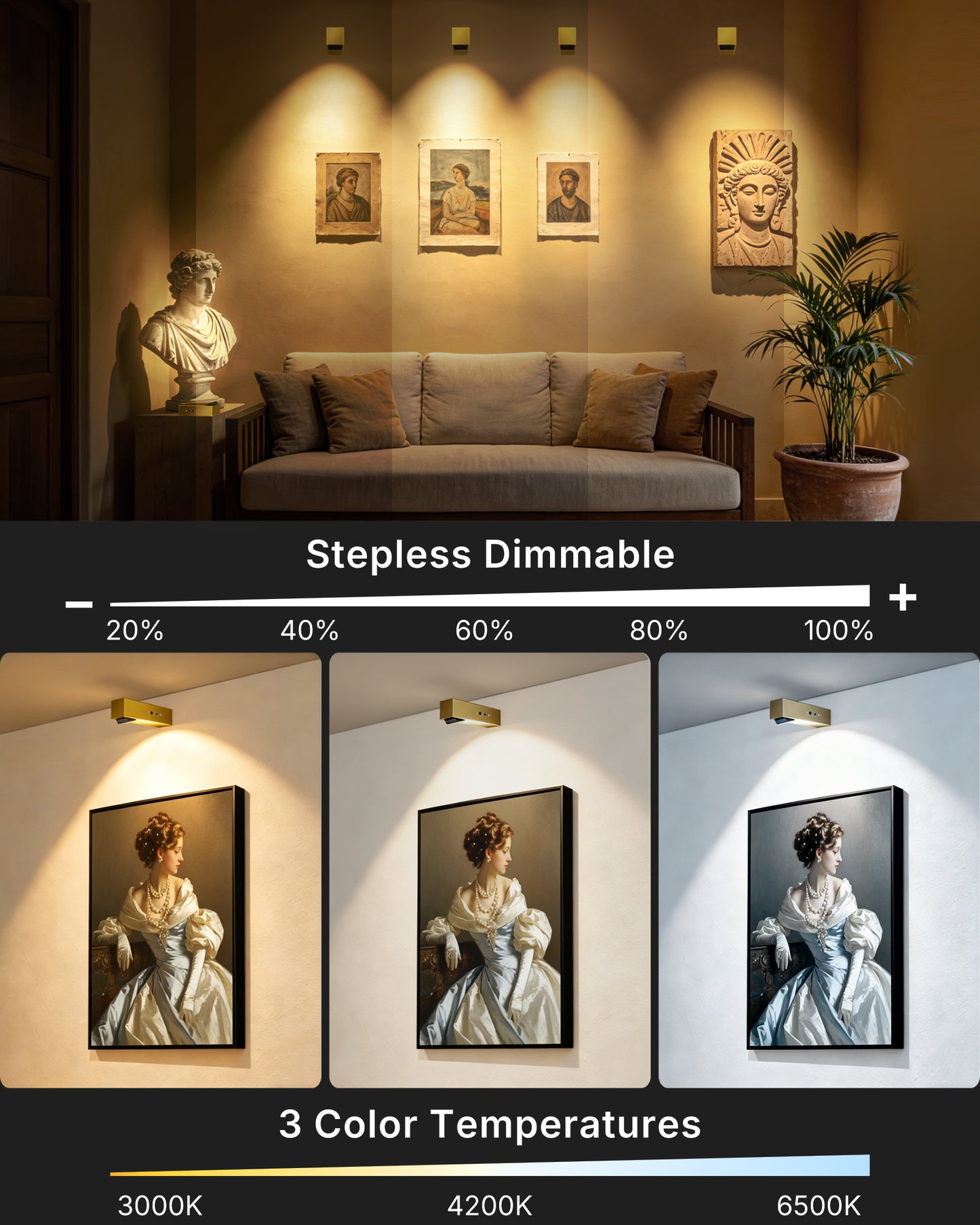 LYTARA Picture Lights for Wall, Metal Rechargeable 5000mAh Battery Lights with 60° Pivoting Head, Remote, Timer, 3 CCTs & Dimmable Magnetic LED Art Display Lights for Painting